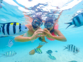 snorkeling trip at Samaesan Thailand dive underwater with fishes in the coral reef sea pool - obrazy, fototapety, plakaty
