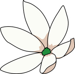 花（Flower）