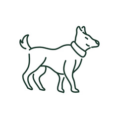 Cute Dogs Activities and Playing 1