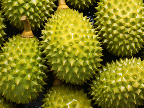 An Overhead Photo of Fresh Durian Covered in Water Drops