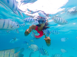 snorkeling trip at Samaesan Thailand dive underwater with fishes in the coral reef sea pool