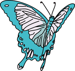 蝶々（butterfly）