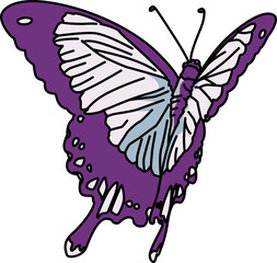 蝶々（butterfly）(PNG)