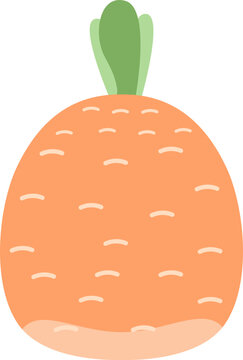  carrot vegetable cartoon  icon