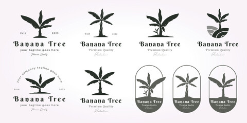 bundle banana tree logo vintage design set. simple banana tree logo vector design, banana tree vintage icon illustration - obrazy, fototapety, plakaty