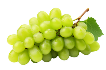 Green Grapes bunch with leaf 