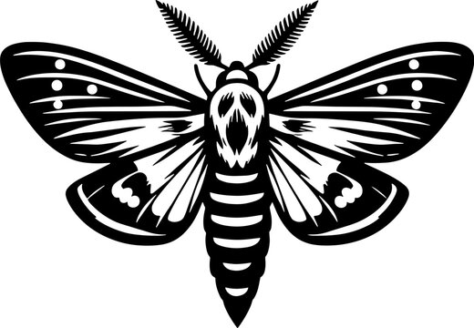 Oleander Hawk Moth icon 3
