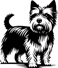 Norwich Terrier icon 4