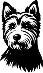 Norwich Terrier icon 1