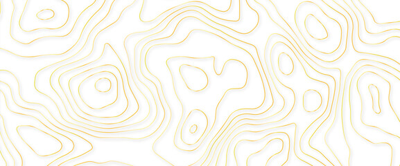 Abstract topographic contours map background .Topographic background and texture, monochrome image. Topography and geography map grid abstract backdrop. Business concept. Topography map - obrazy, fototapety, plakaty