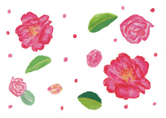 Source for making camellia flower patterns, vectors, and greeting cards drawn with colored pencils