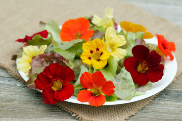 Obraz na płótnie Canvas Seasonal salad of nasturtium flowers and lettuce on the wooden table.