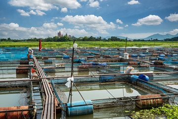 Fish farms in Thailand