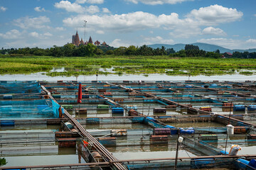Fish farms in Thailand
