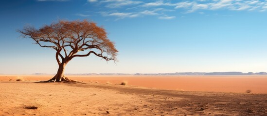 Magnificent UAE desert scenery, showcasing a striking tree in the lifeless landscape adorned with...