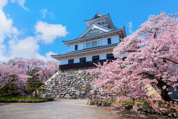 Shiga, Japan - April 3 2023: Nagahama Castle built by feudal lord Toyotomi Hideyoshi in1577, destroyed in 1615 and reconstructed in 1983 as a museum showing the history of Nagahama