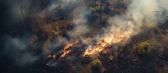 Forest fire destroyed parts of green dry forest, seen from above.