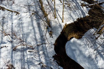 Aerial view of a stream bed in a winter forest and a silhouette of a drone operator