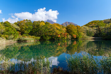 しろ池と雨飾山