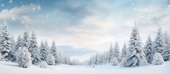Fototapeta na wymiar Festive scene with snow-covered evergreens.