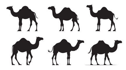 Camels silhouettes set vector icon