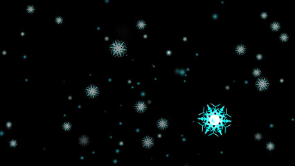 snowflake six star branch long thorn wing falling on black isolated