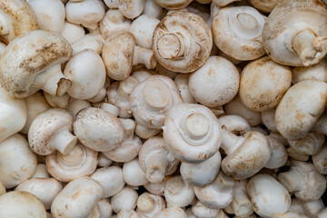 Champignons - top view in a grocery store