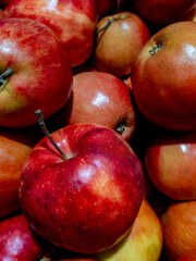 Large and ripe red-yellow apples