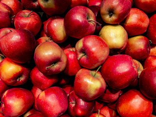 Large colorful apples in a box