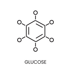 Glucose line icon vector for diabetes education materials
