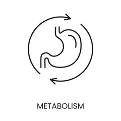 Metabolism line icon vector for diabetes management and treatment