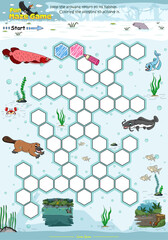 Maze Game Help the Arowana to reach its habitat by coloring the polygons swamp