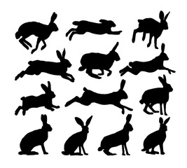 The set silhouettes of wild hares.
