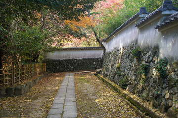 勝持寺の紅葉