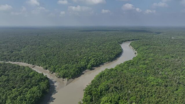Moving away aerial view of the fork of the river during low tide in Sundarbans National Park, Bangladesh.