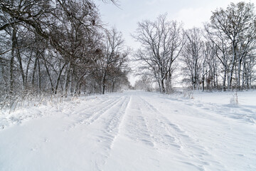 Fototapeta na wymiar Country winter landscape