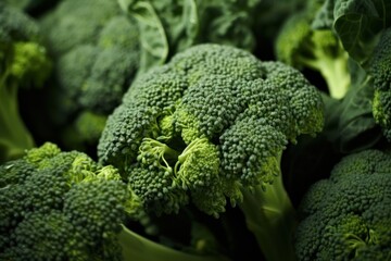 Close up freshy broccoli from farm background.