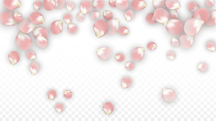 Pink Vector Realistic Petals Falling on Transparent Background.  Spring Romantic Flowers Illustration. Flying Petals. Sakura Spa Design. Blossom Confetti. Design Elements for Wedding Decoration.