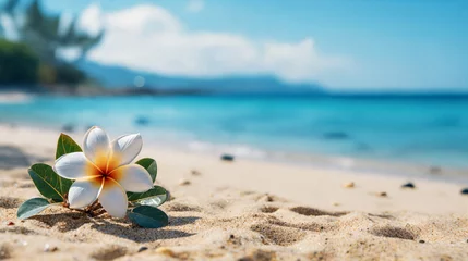 Keuken spatwand met foto White plumeria flowers on a sandy beach with the sea in the background. AI Generative © k_e_n