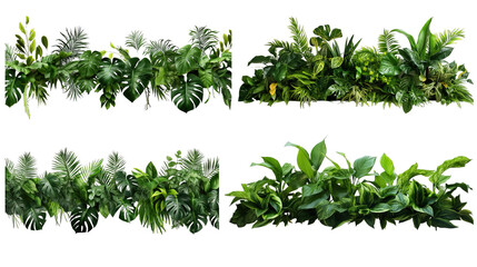 Collection of PNG. Green leaves of tropical plants bush floral isolated on a transparent background. - Powered by Adobe