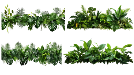 Collection of PNG. Green leaves of tropical plants bush floral isolated on a transparent background.