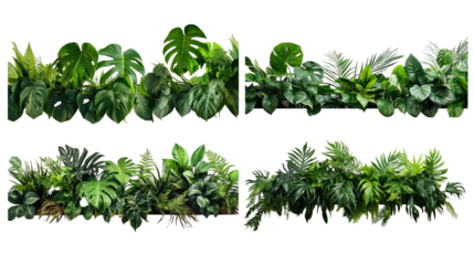 Collection of PNG. Green leaves of tropical plants bush floral isolated on a transparent background.