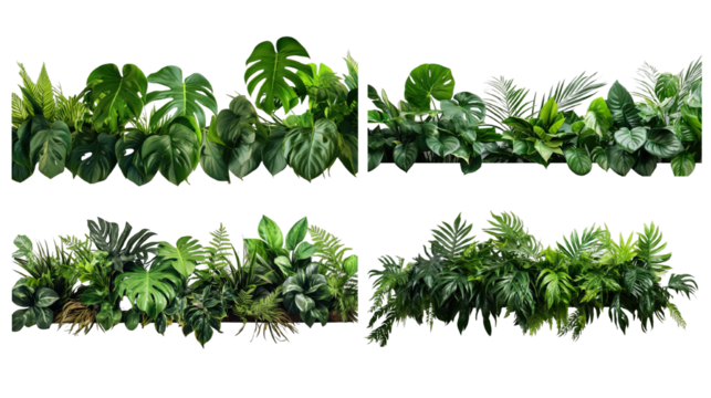 Collection of PNG. Green leaves of tropical plants bush floral isolated on a transparent background.