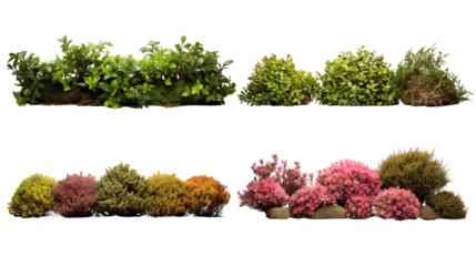 Collection of PNG. Shrubs isolated on a transparent background.