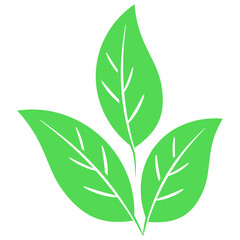 three leaf icon design with green color