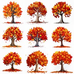 autumn trees set