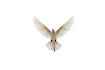 Animal Butterfly Flight Doves Aerial Serenity on a White or Clear Surface PNG Transparent Background