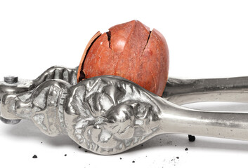Large nut with vintage nutcracker