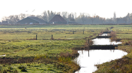 Obraz premium Typical dutch landscape; a farm with grasslands in front