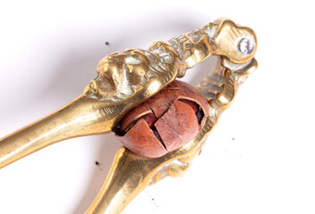 Large nut with vintage nutcracker